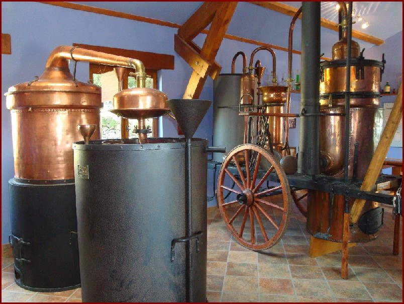Photo 15.JPG