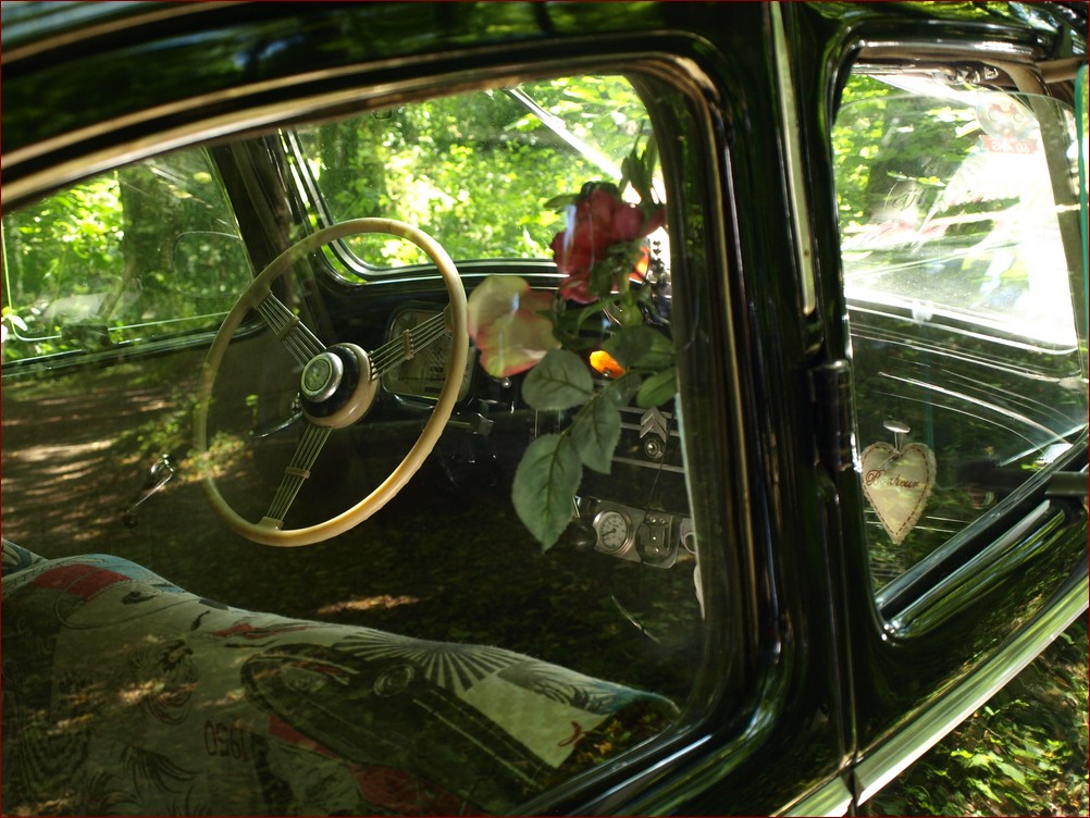 Photo 87.jpg